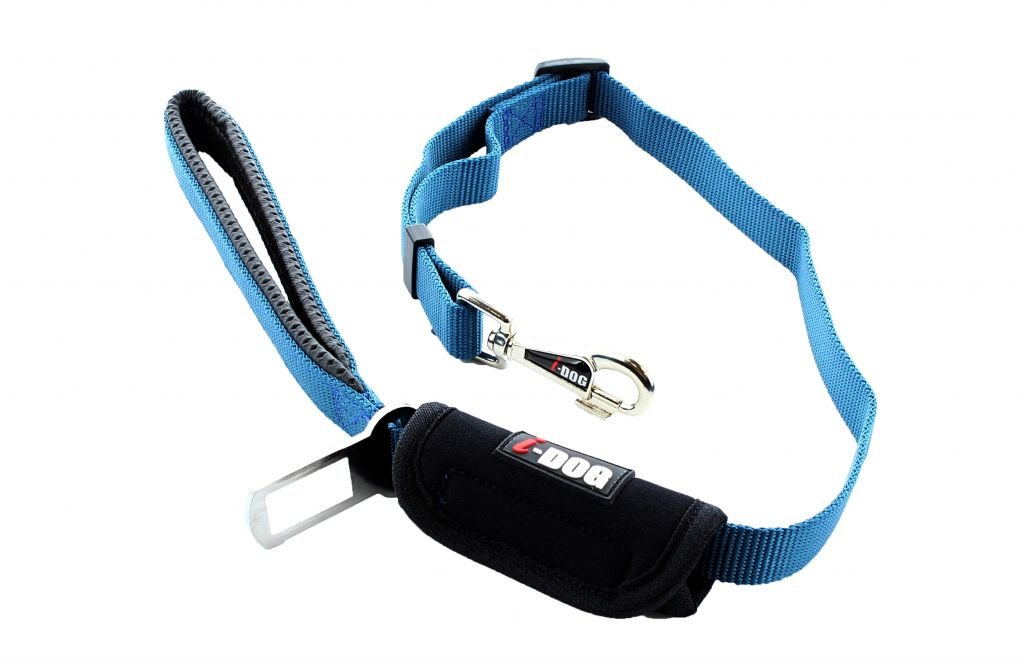 Security Car Lead (I - dog) - SnowPaw Store - i - Dog - Dog Collars, Leads, Belts